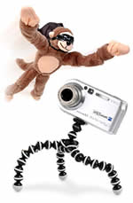Flying Monkey and Gorilla pod