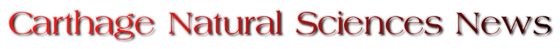 Your Company
