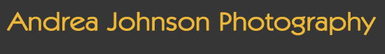 Your Company