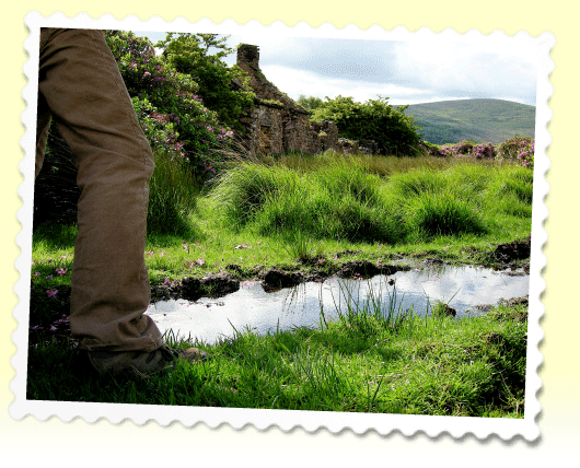 www.IrishFireside.com