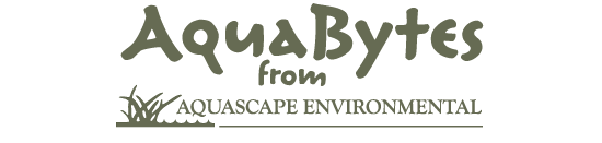 Aquascape Environmental