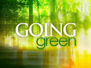 WHY Going Green