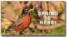 Spring is Here.  Best Regards from We Care Computers, LLC