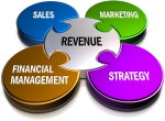 Sales, Marketing, Strategy, Financial Management