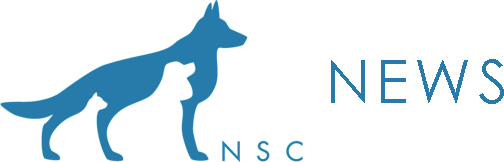 NSC News