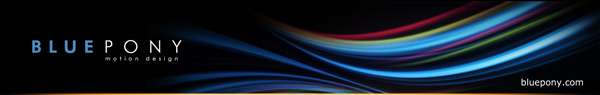 Blue Pony Logo Header