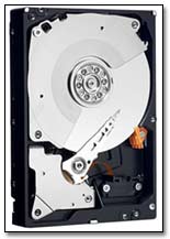 Computer Hard Drives are delicate, mechanical devices that will fail. 