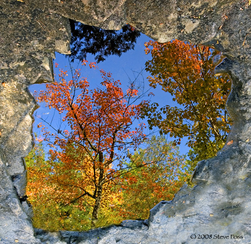 autumn colors reflected