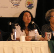 Speaker from Brazil