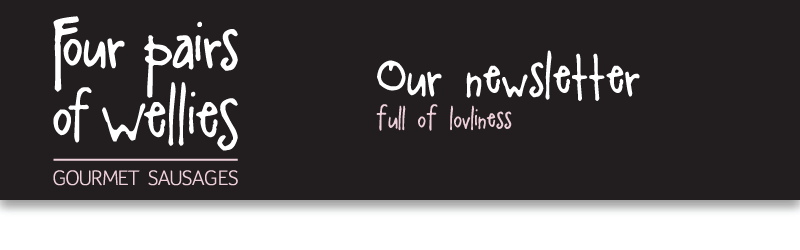 The Four Pairs of Wellies Newsletter
