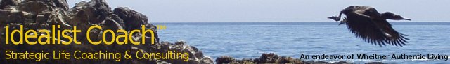 Idealist Coach: Strategic LIfe Coaching & Consulting