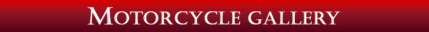 The Motorcycle Gallery