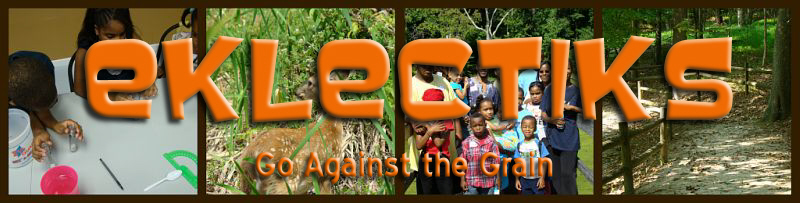 Eklectiks: Go Against the Grain!