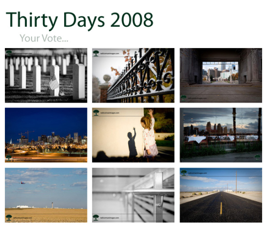 Thirty Days 2008. Your Vote...