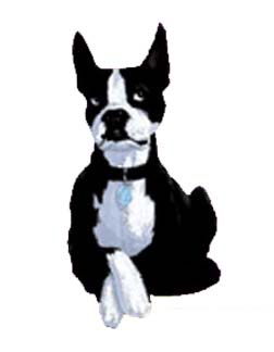 Cosmo