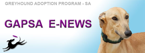 GAPSA E-NEWS