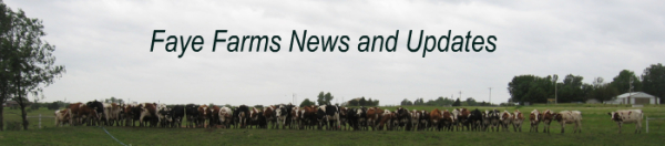 Faye Farms News and Updates
