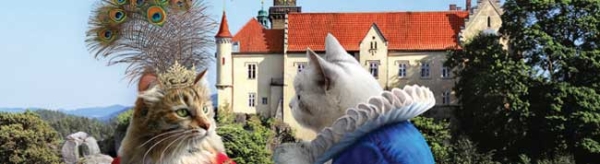 The Bohemian Cats Calender - from the Baba Studio spring newsletter