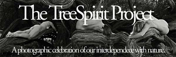 The TreeSpirit Project: a photographic celebration of our interdependence with nature.