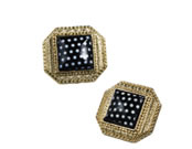 Uncommonly Beautiful Earrings