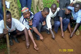 Planting Gliricidia seeds for alley cropping, Imiliwaha, Tanzania