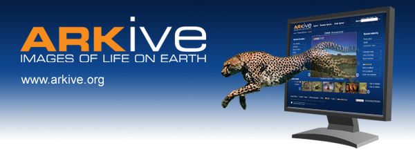 ARKive - a unique collection of thousands of videos, images and fact-files illustrating the world's species