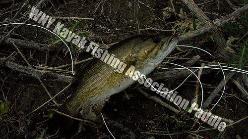 Freshwater Kayak Fishing