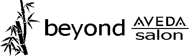 www.beyondavedasalon.com