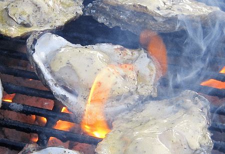 http://img.mailchimp.com/2009/04/18/248a7a5b5b/GrilledOysters.jpg