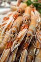 FOD401KK 003 001-Close-up of lobsters on display in market, Salamanca, Spain 