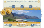Waianae Ecological Characterization Web Site