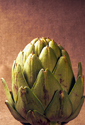 FOD825FM 016 001-Close-up of artichoke on burlap backdrop V 