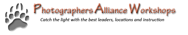 Photographers Alliance Workshops