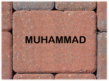 lansingislam.com